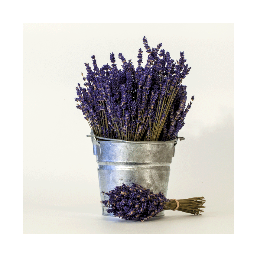 SpaMate English Lavender Aromatherapy Fragrance 245ml